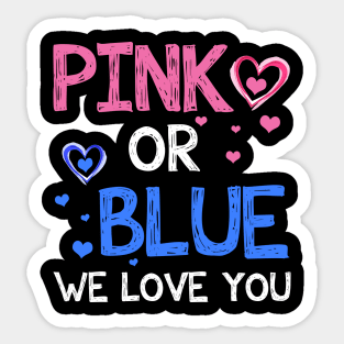 Pink or Blue Boy or Girl We Love You Baby Gender Reveal Sticker